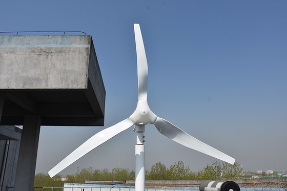 Trójfazowa mała pozioma turbina wiatrowa 24 V 48 V 800 W poziomy młyn wiatrowy